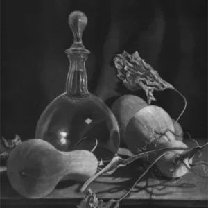 Carte Postale Judith Rothchild « Butternut »