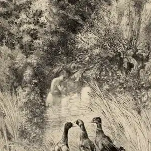 Carte Postale intimistes « canards surpris »